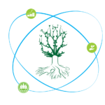 Ideal Foundation logo
