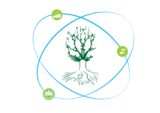 Ideal Foundation logo
